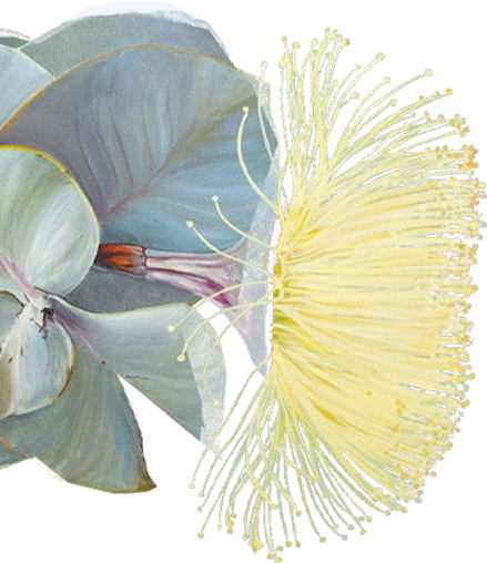 Pale botanical flower with yellow stamen