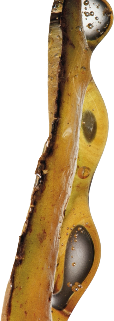 Amber glass-like liquid form